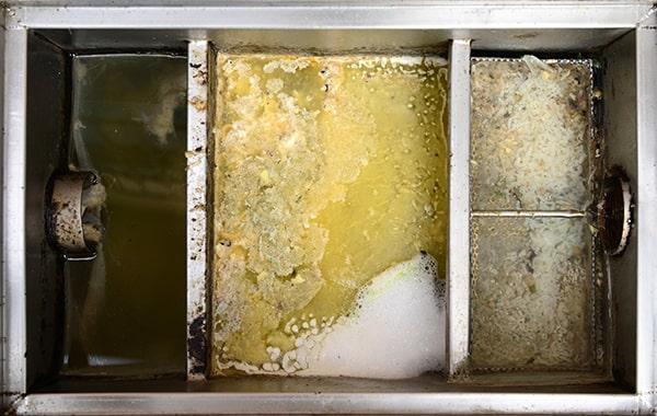 putting off grease interceptor cleaning can lead to ecological contamination, foul odors, and plumbing problems